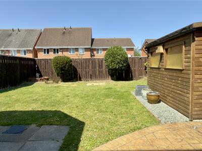 Picture 7